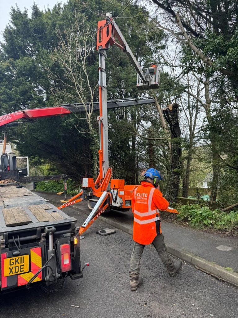 J Ward Plant & Grab Hire Tenterden Kent 2 57